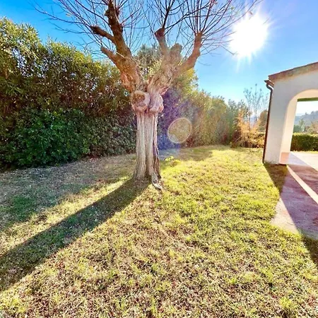 Maria Giovanna 2, Taunus * نومانا